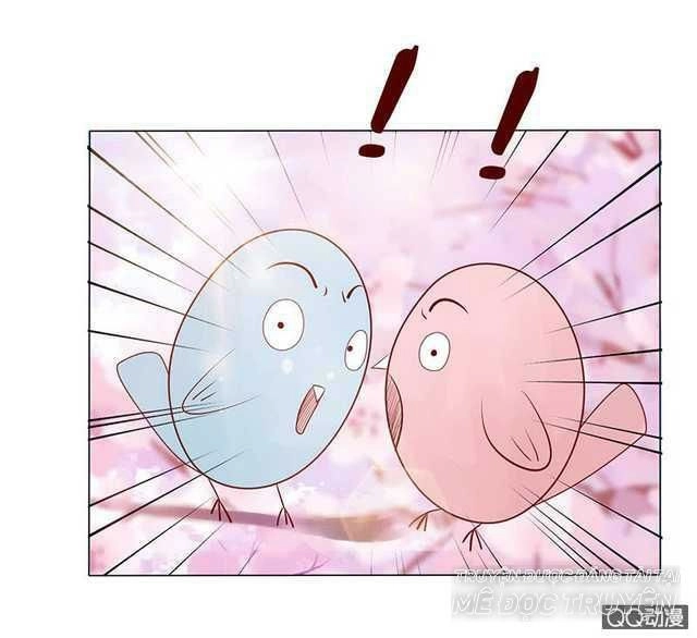 Băng Sơn Học Trưởng Không Được Chọc Chapter 40.1 - 11