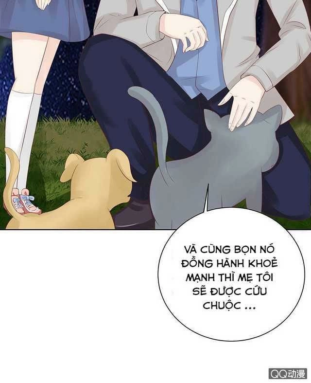 Băng Sơn Học Trưởng Không Được Chọc Chapter 45.2 - 2