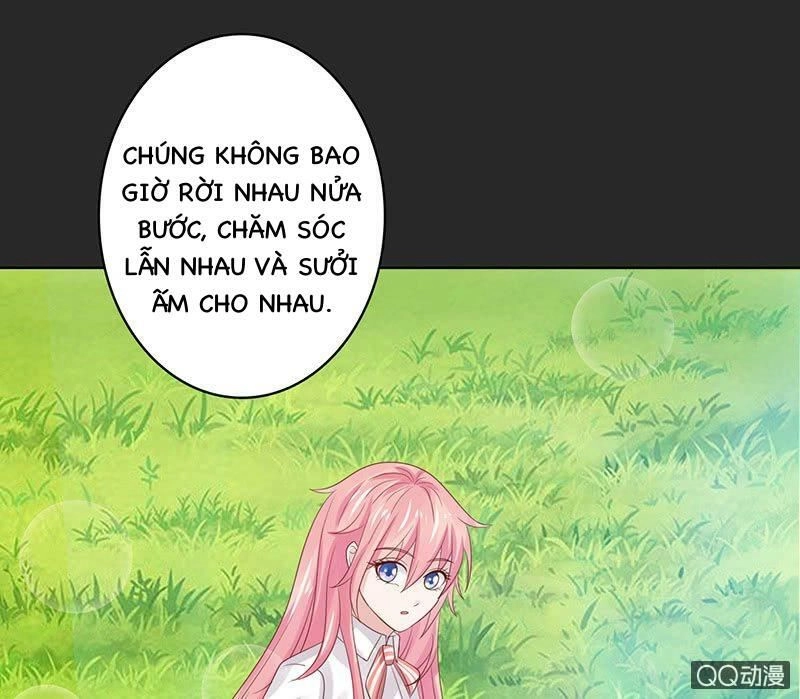 Băng Sơn Học Trưởng Không Được Chọc Chapter 52.1 - 23