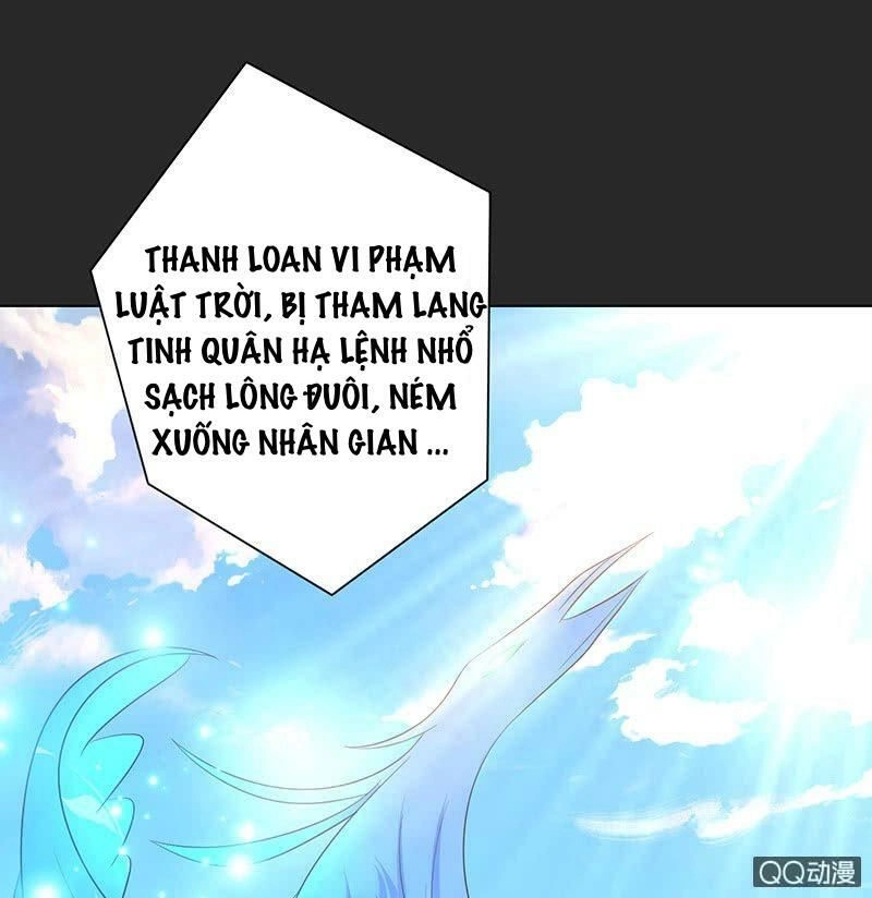 Băng Sơn Học Trưởng Không Được Chọc Chapter 52.2 - 5