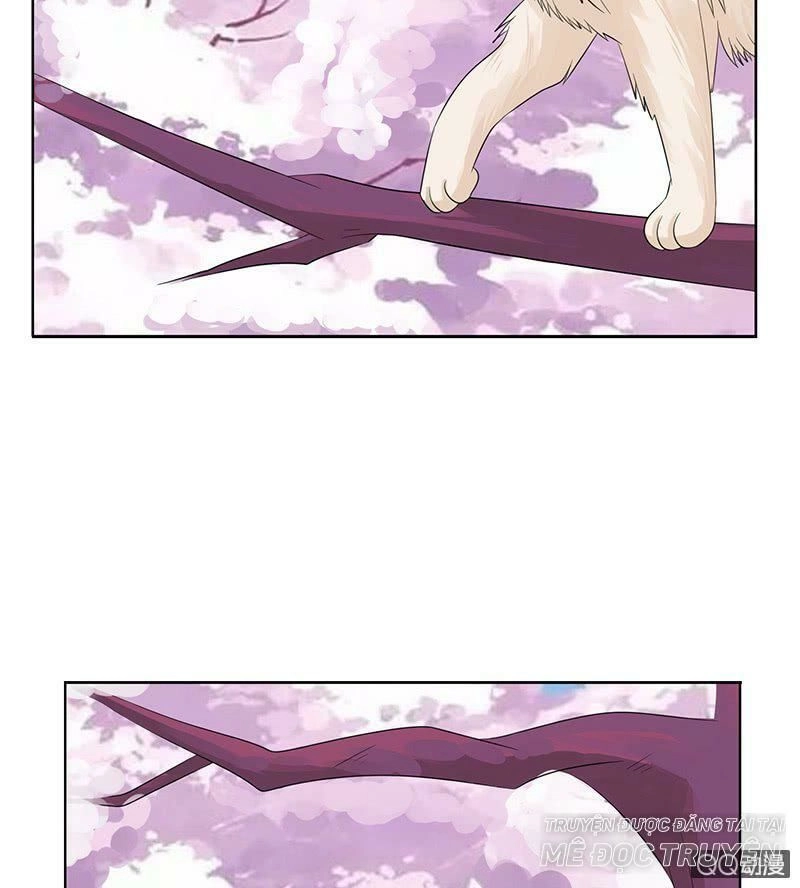 Băng Sơn Học Trưởng Không Được Chọc Chapter 53.1 - 11