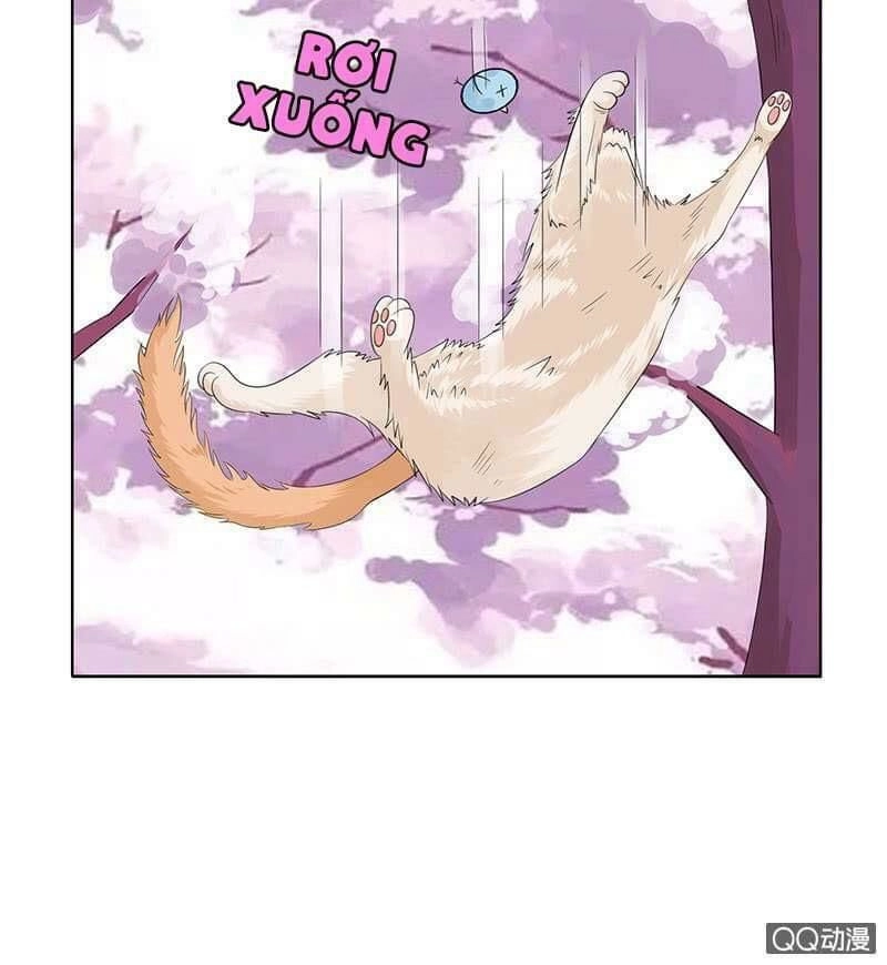 Băng Sơn Học Trưởng Không Được Chọc Chapter 53.1 - 12