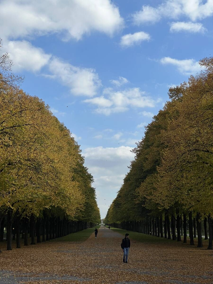 Soara Và Ngôi Nhà Cho Quái Vật Chapter 11 - 45