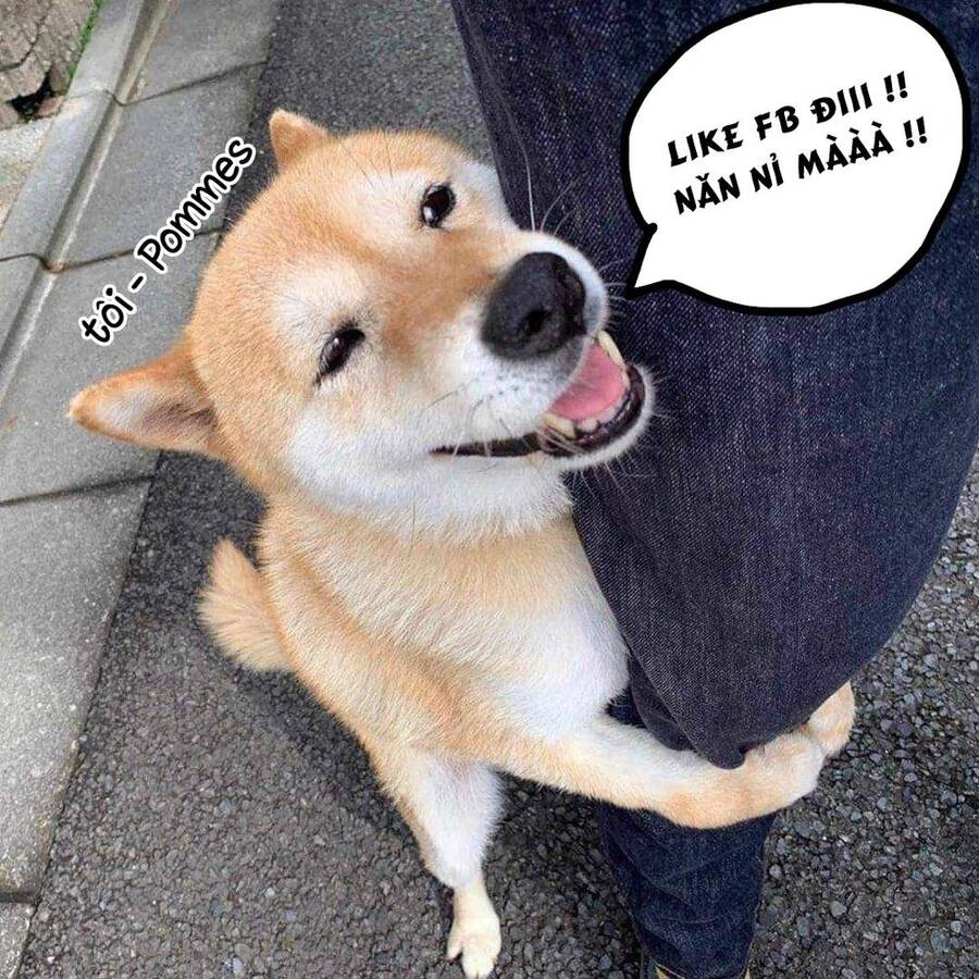 Soara Và Ngôi Nhà Cho Quái Vật Chapter 18 - 41