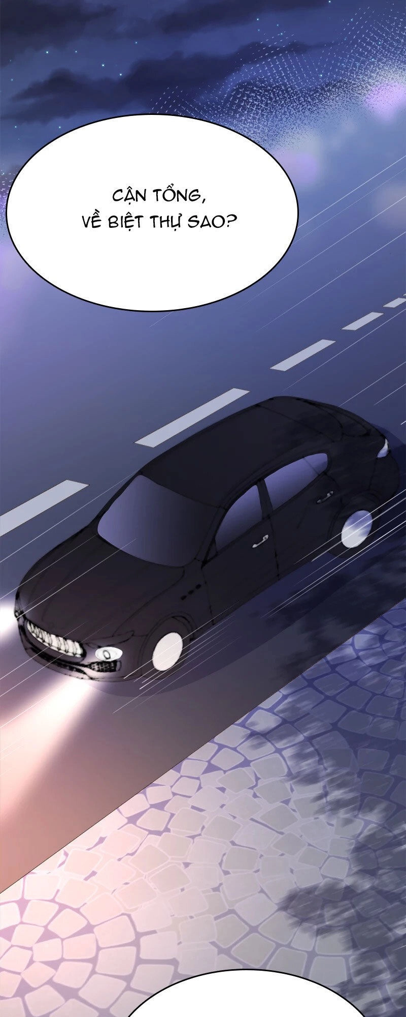 Lãnh Hôn Cuồng Ái Chapter 47 - 19