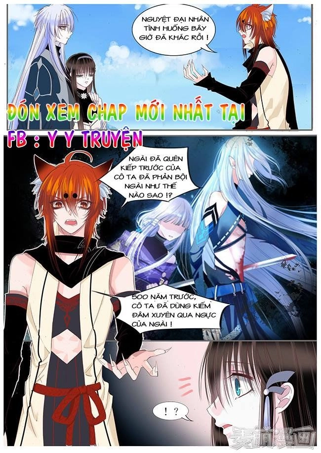 Nguyệt Thương Chapter 69 - 11