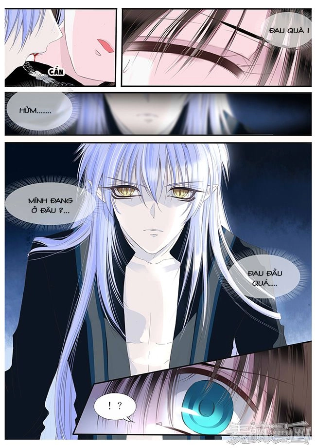 Nguyệt Thương Chapter 71 - 7