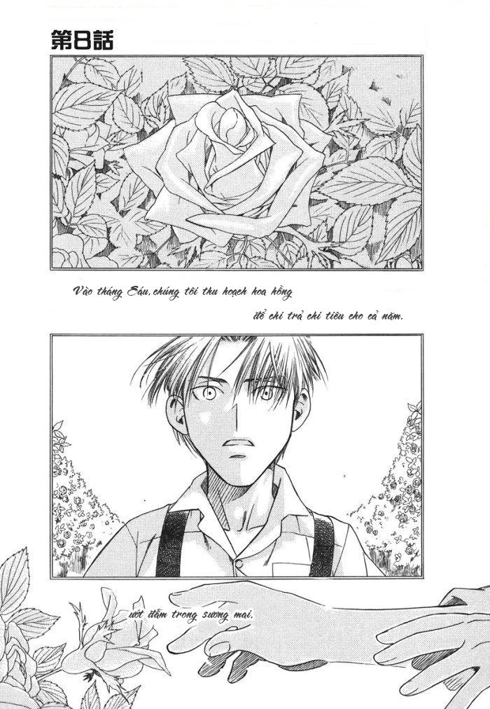 Maiden Rose Chapter 8 - 3