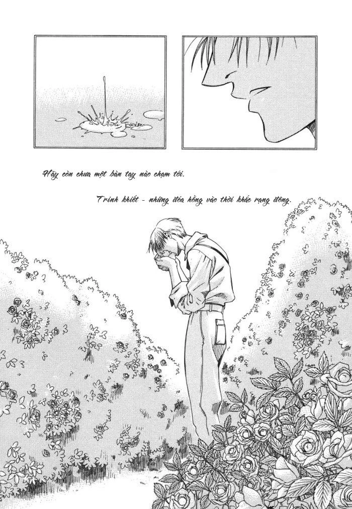 Maiden Rose Chapter 8 - 4