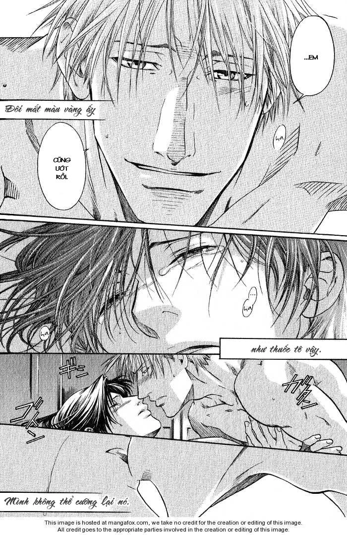 Maiden Rose Chapter 11.5 - 26