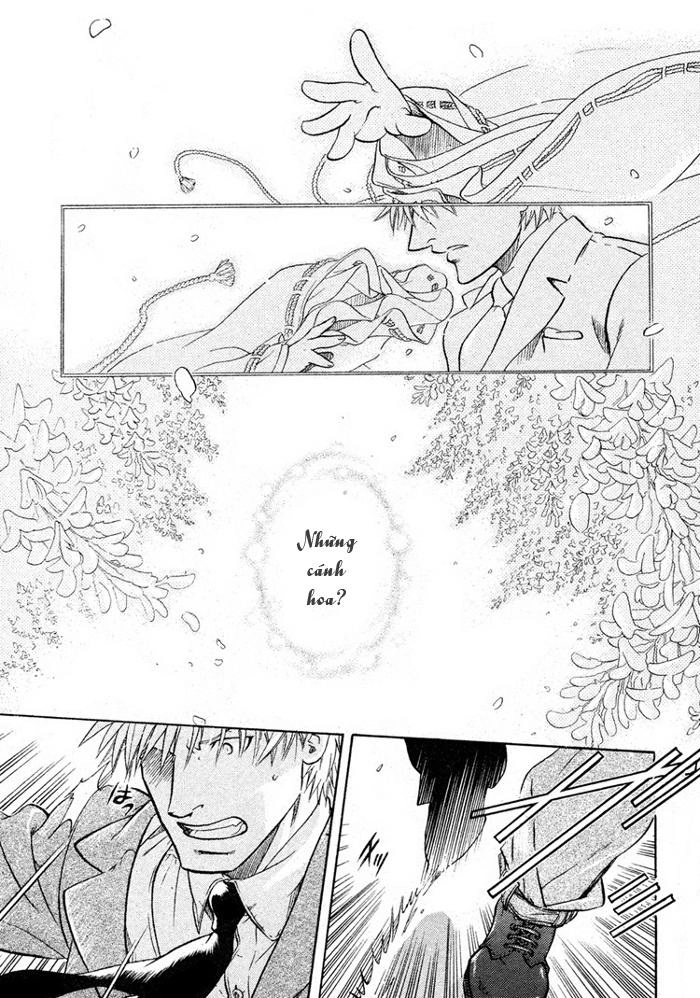 Maiden Rose Chapter 13 - 19