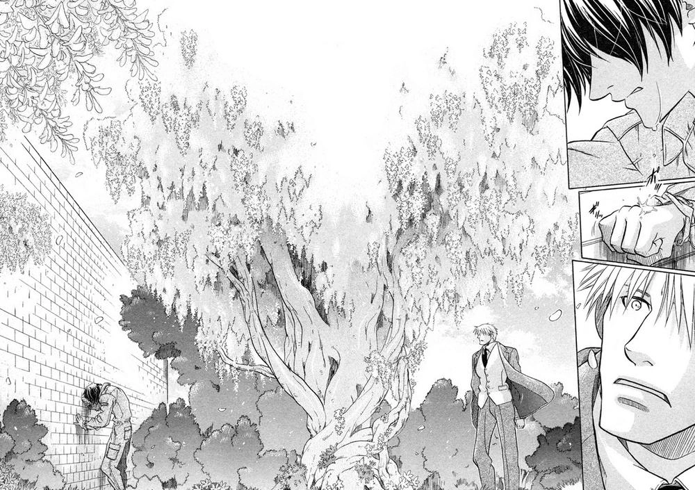 Maiden Rose Chapter 13 - 24