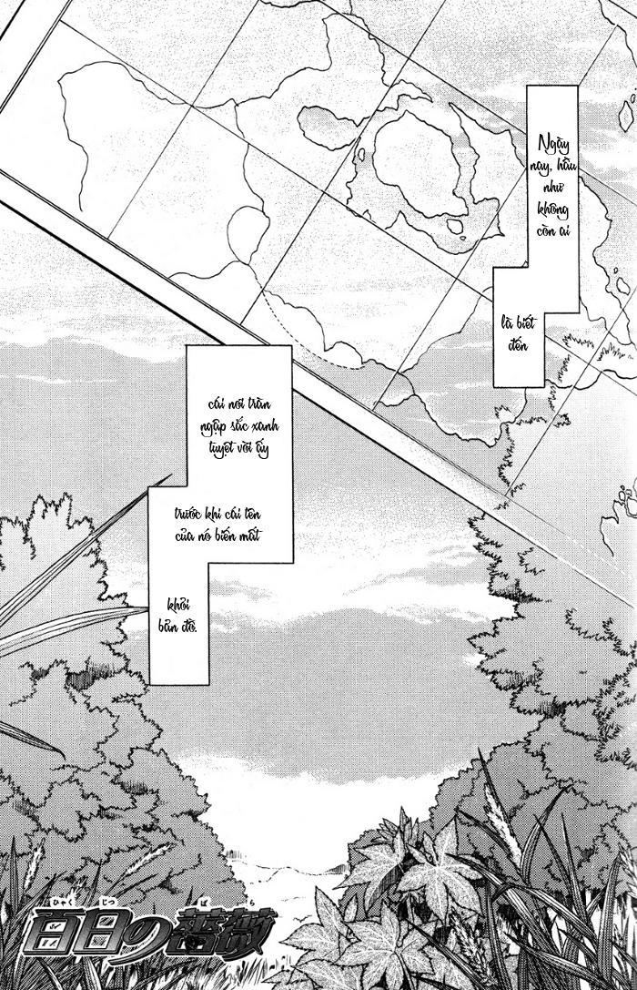 Maiden Rose Chapter 19 - 5