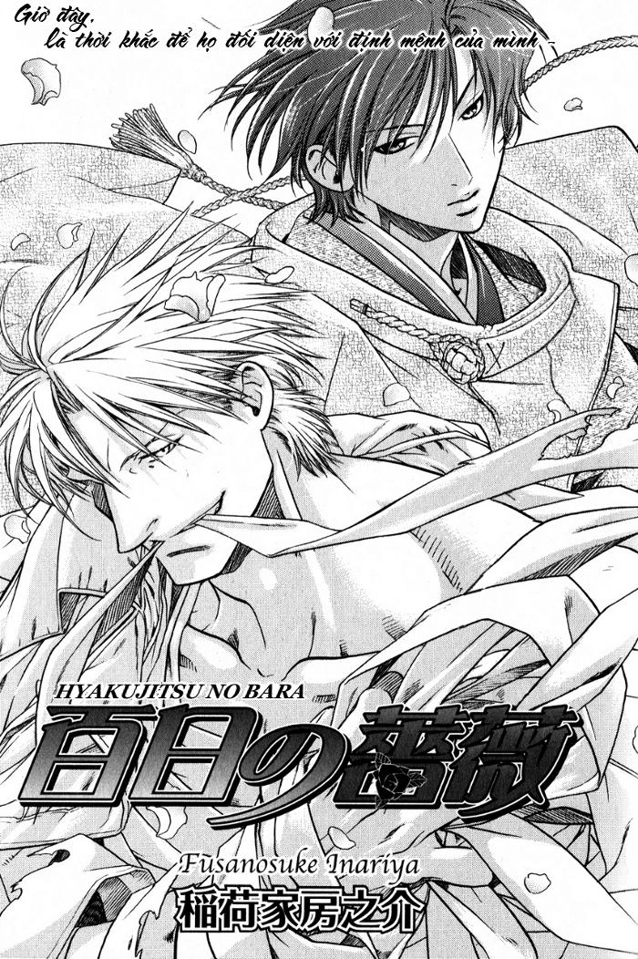 Maiden Rose Chapter 19 - 11