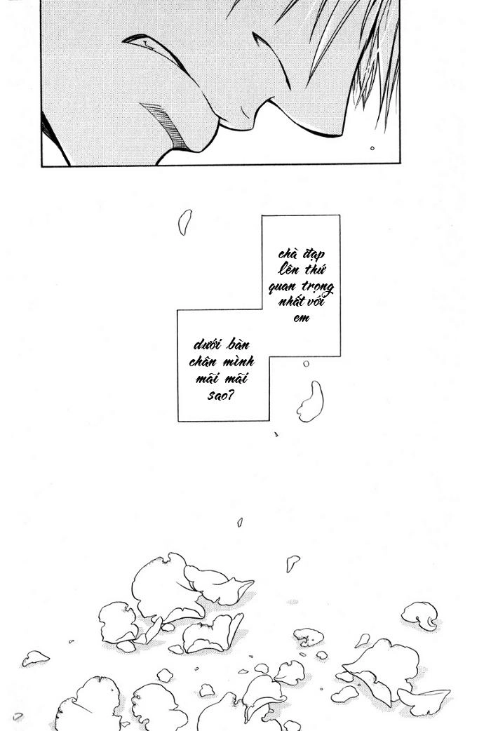 Maiden Rose Chapter 19 - 20