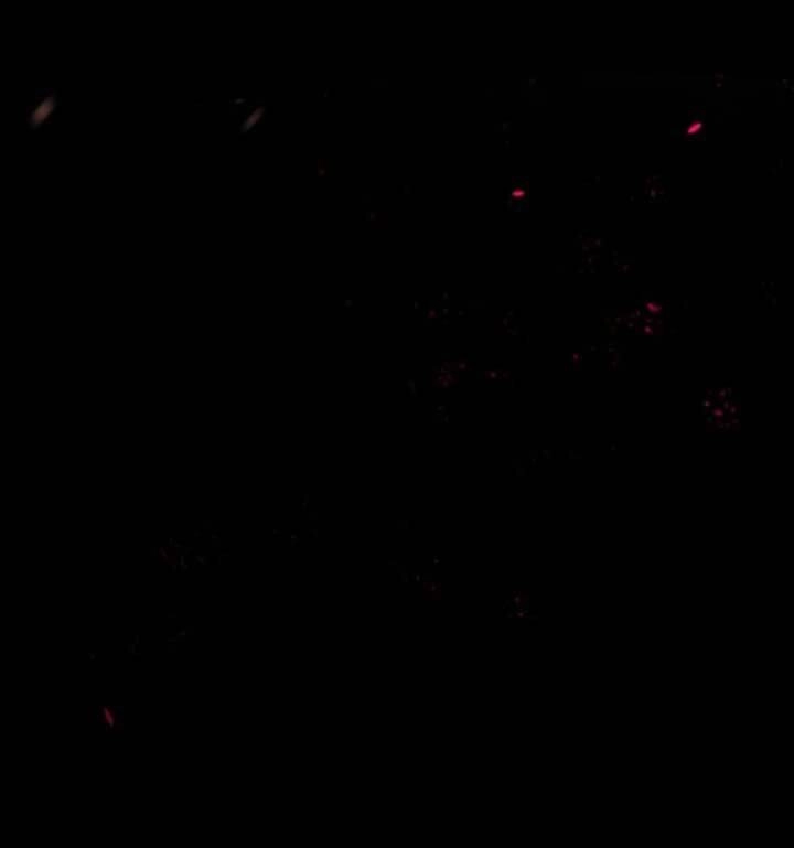 Lão Đại Xuyên Không Gả Cho Phu Quân Mù Chapter 1 - 23