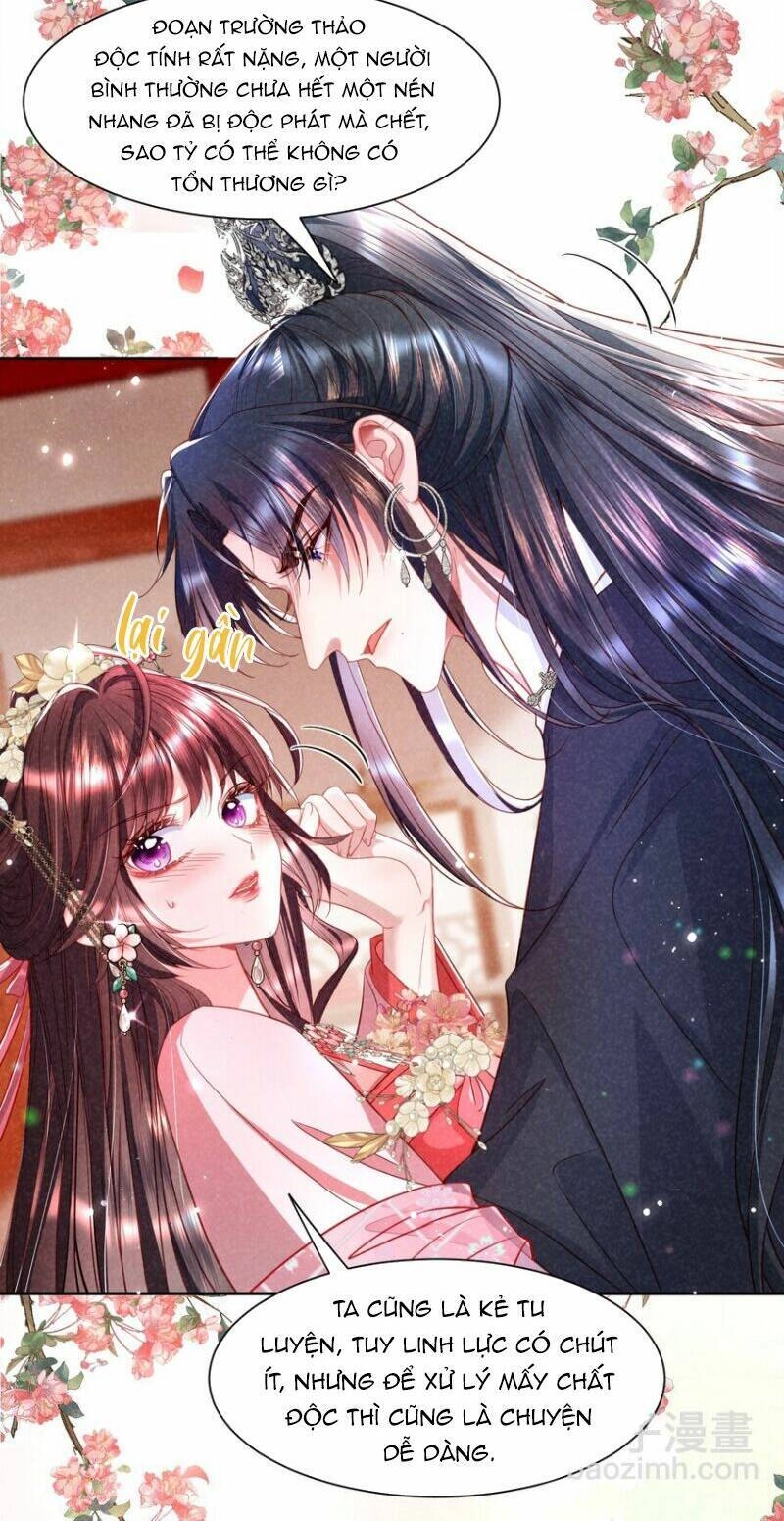 Bệnh Kiều Sư Đệ Lại Giả Vờ Đáng Thương Chapter 14 - 8