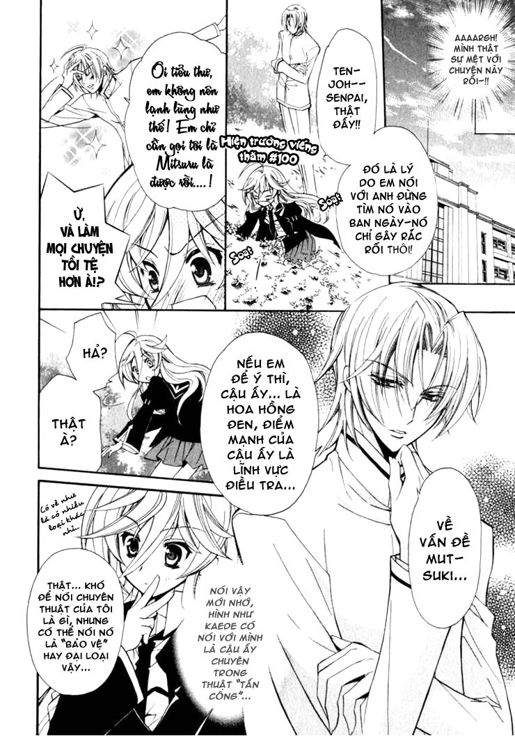 Nụ Hôn Của Công Chúa Tường Vi Chapter 3 - 11