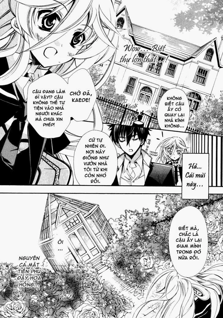 Nụ Hôn Của Công Chúa Tường Vi Chapter 4 - 11