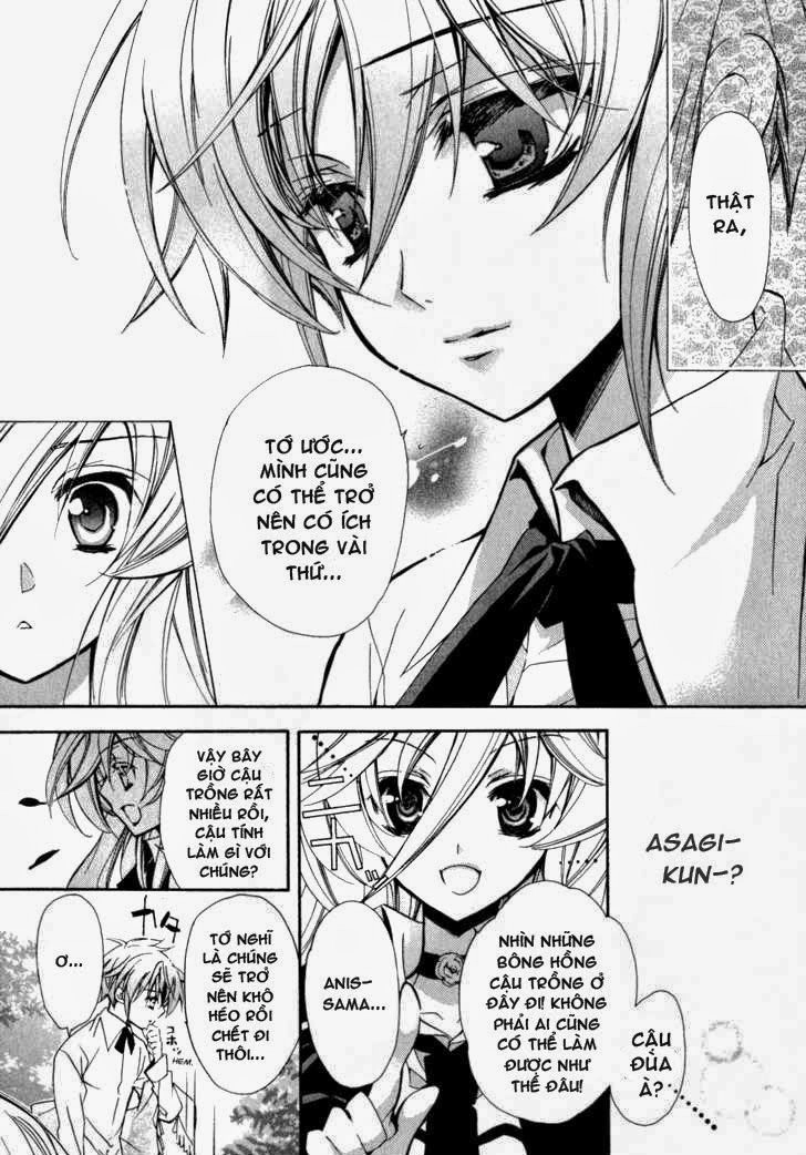 Nụ Hôn Của Công Chúa Tường Vi Chapter 4 - 24