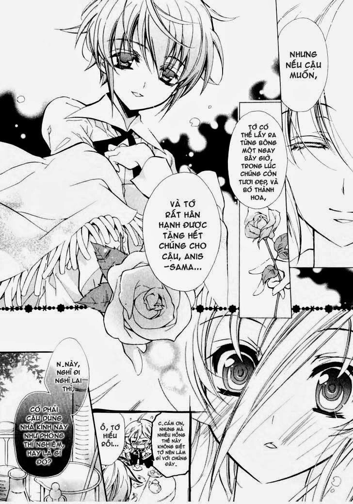 Nụ Hôn Của Công Chúa Tường Vi Chapter 4 - 25