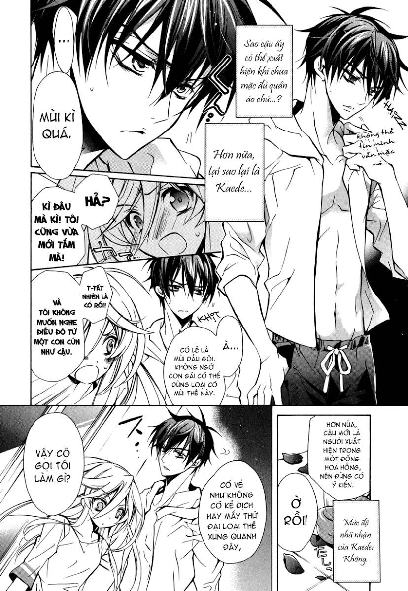 Nụ Hôn Của Công Chúa Tường Vi Chapter 12 - 6