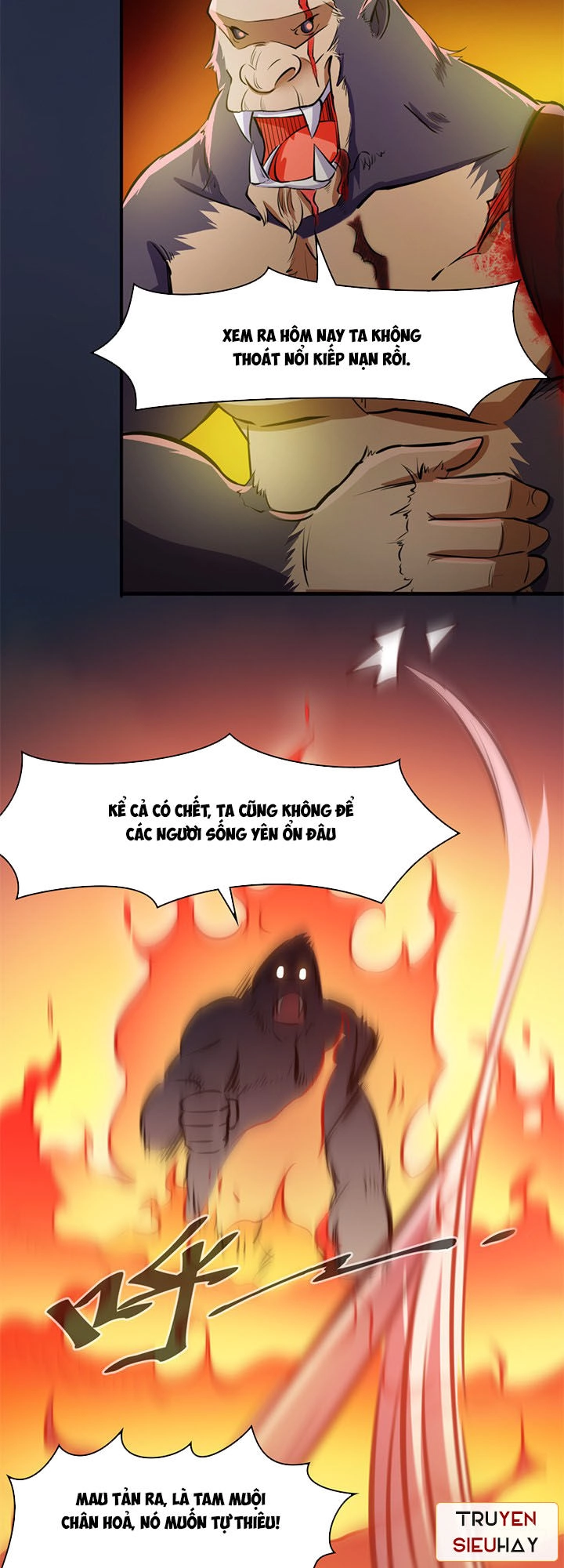 Lâm Phi Truyện Chapter 26 - 24