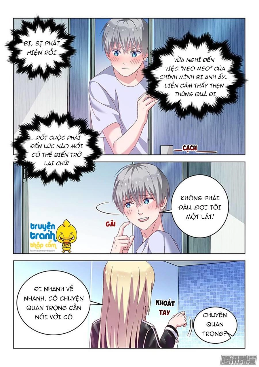 Nam Thần Quốc Dân Biến Thân Chapter 28 - 2