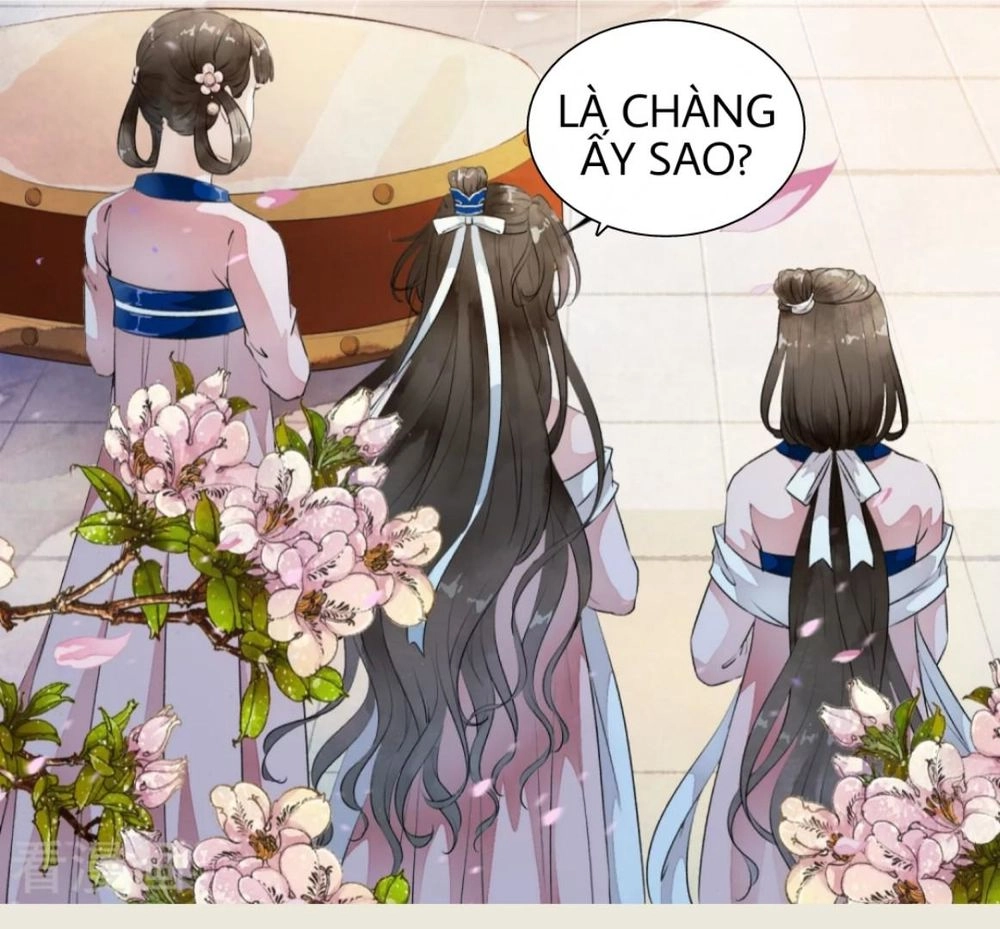 Bạch Liên Yêu Cơ Người Chapter 11 - 23