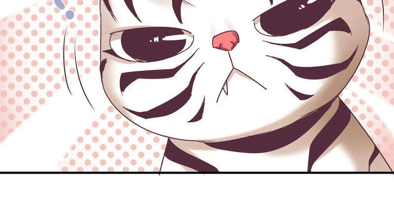 Cuồng Duệ Tiểu Thê Chapter 62 - 6