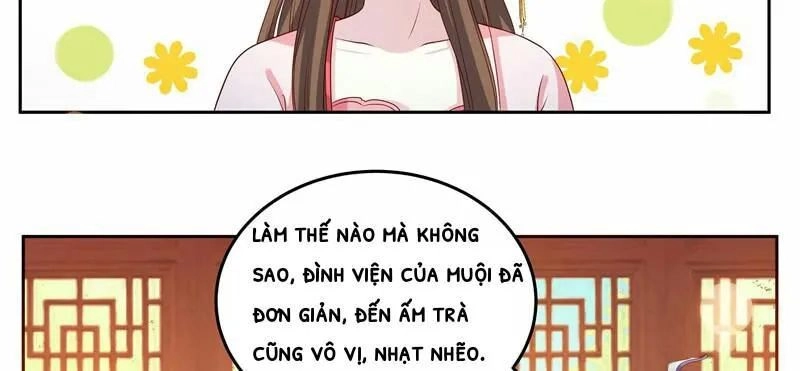 Liêu Cung Phong Hoa Chapter 11 - 28