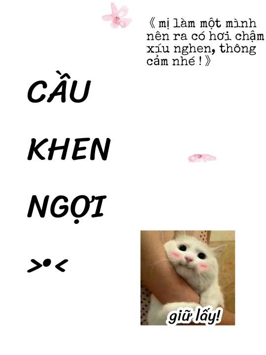 Liêu Cung Phong Hoa Chapter 13 - 50