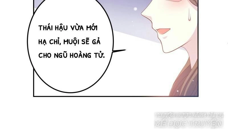 Liêu Cung Phong Hoa Chapter 14 - 11