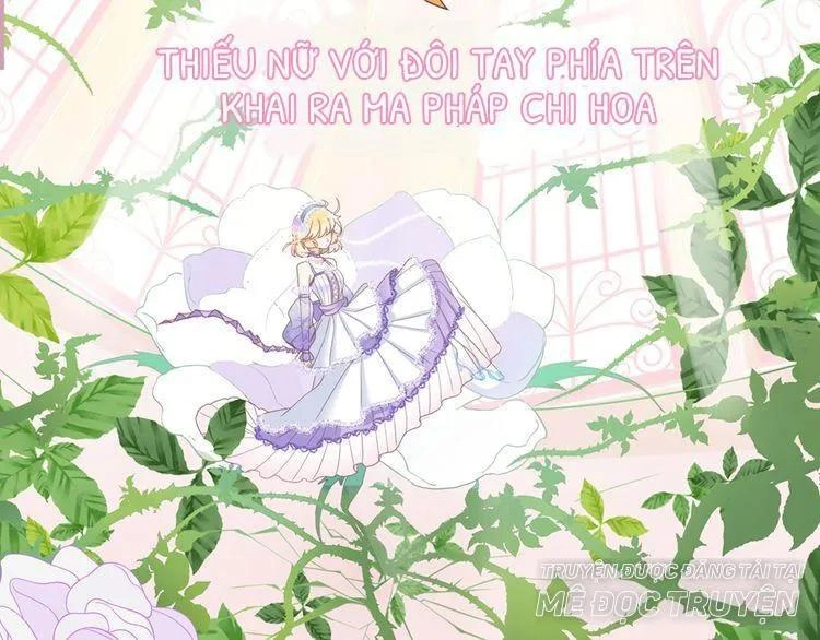 Thuần Trắng Vận Mệnh Chi Luân Chapter 1 - 34