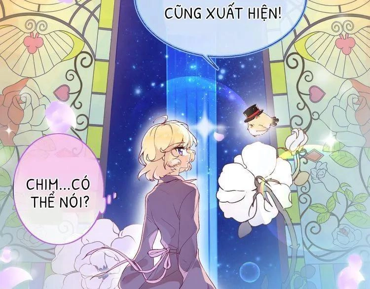 Thuần Trắng Vận Mệnh Chi Luân Chapter 2 - 18