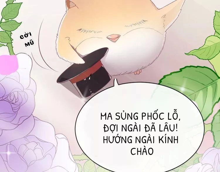 Thuần Trắng Vận Mệnh Chi Luân Chapter 5 - 10