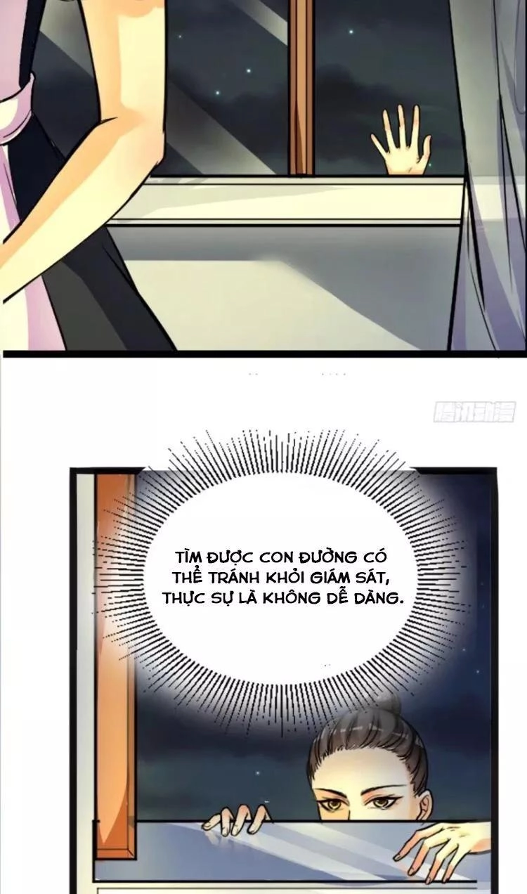 Đế Vương Sợ Vương Phi Muốn Sở Hữu Thiên Hạ Chapter 2 - 5