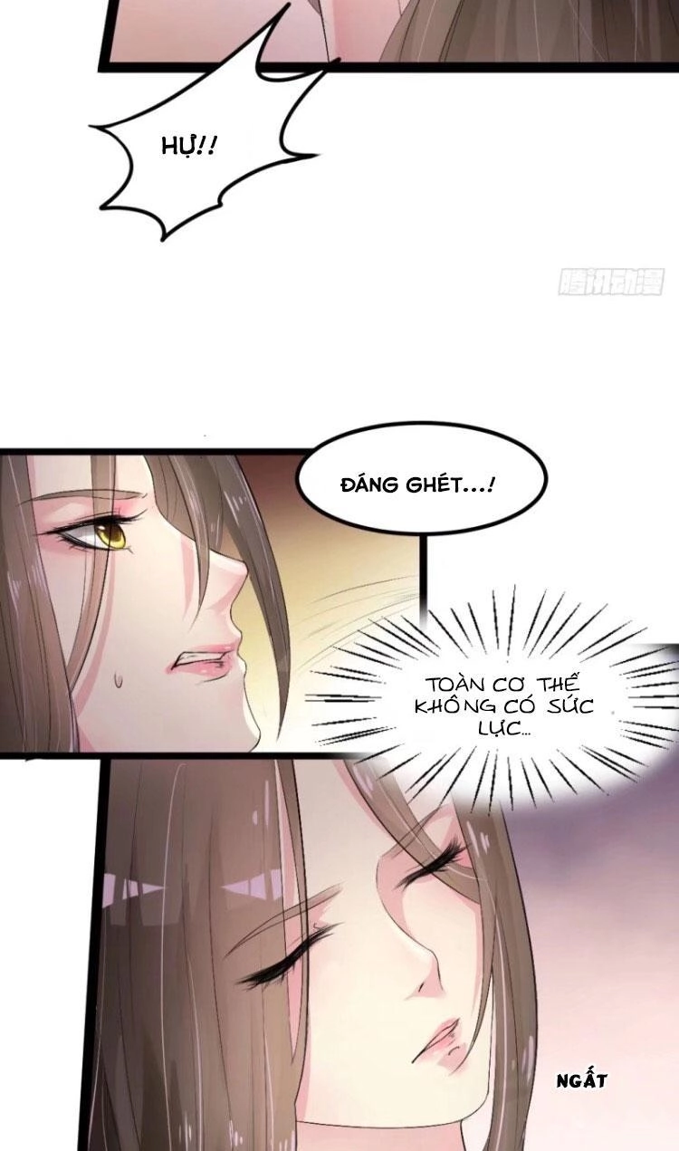 Đế Vương Sợ Vương Phi Muốn Sở Hữu Thiên Hạ Chapter 4 - 11