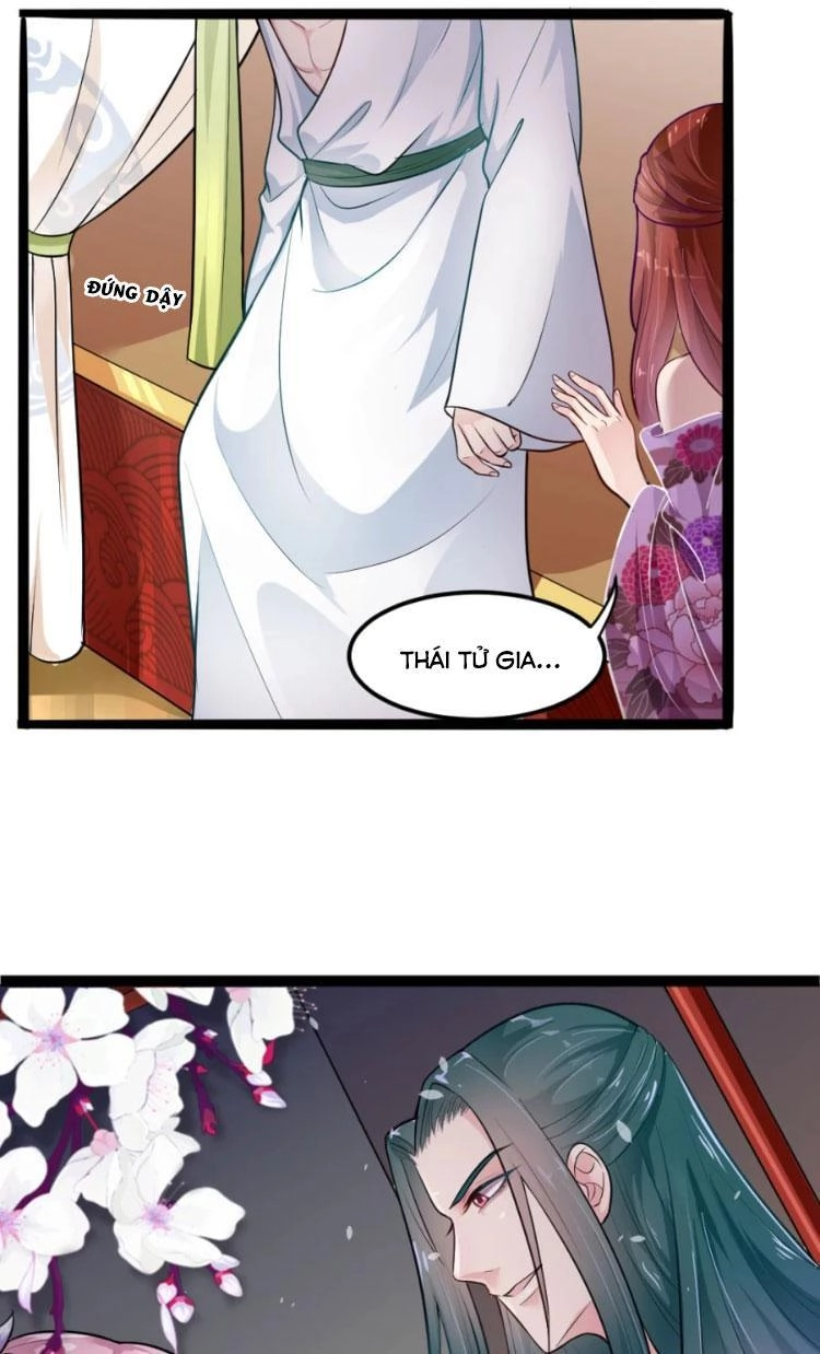 Đế Vương Sợ Vương Phi Muốn Sở Hữu Thiên Hạ Chapter 7 - 13