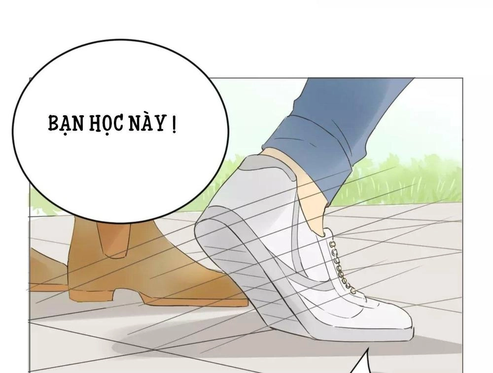 Tôi Gặp Em Lúc Bình Minh Chapter 4 - 24