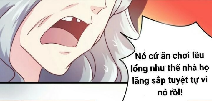 Tổng Tài Đã Cưới Em Chapter 4 - 11