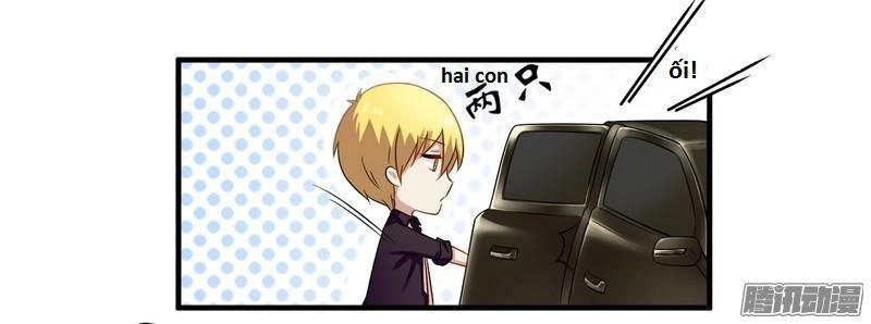 Tổng Tài Đã Cưới Em Chapter 38 - 4