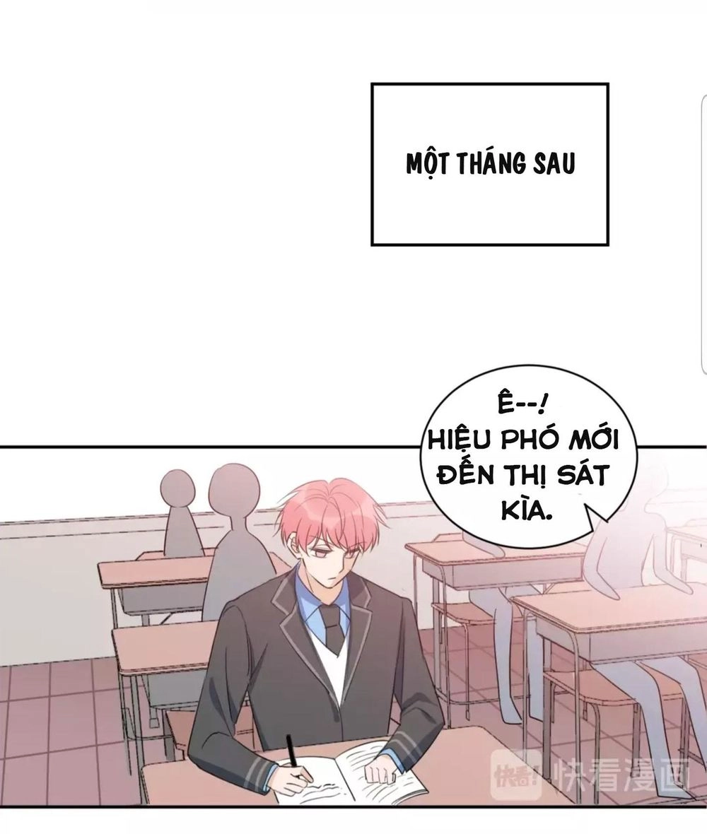 Ánh Trăng Ngọt Ngào Chapter 28 - 42