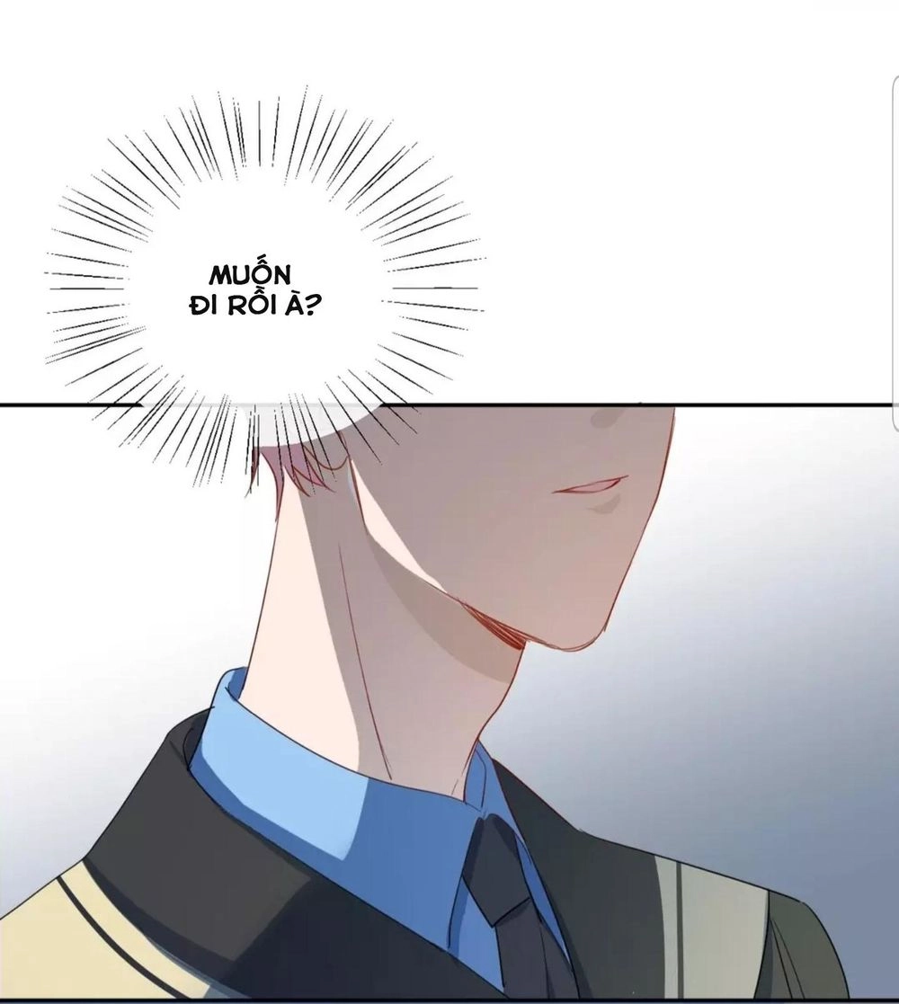 Ánh Trăng Ngọt Ngào Chapter 28 - 51