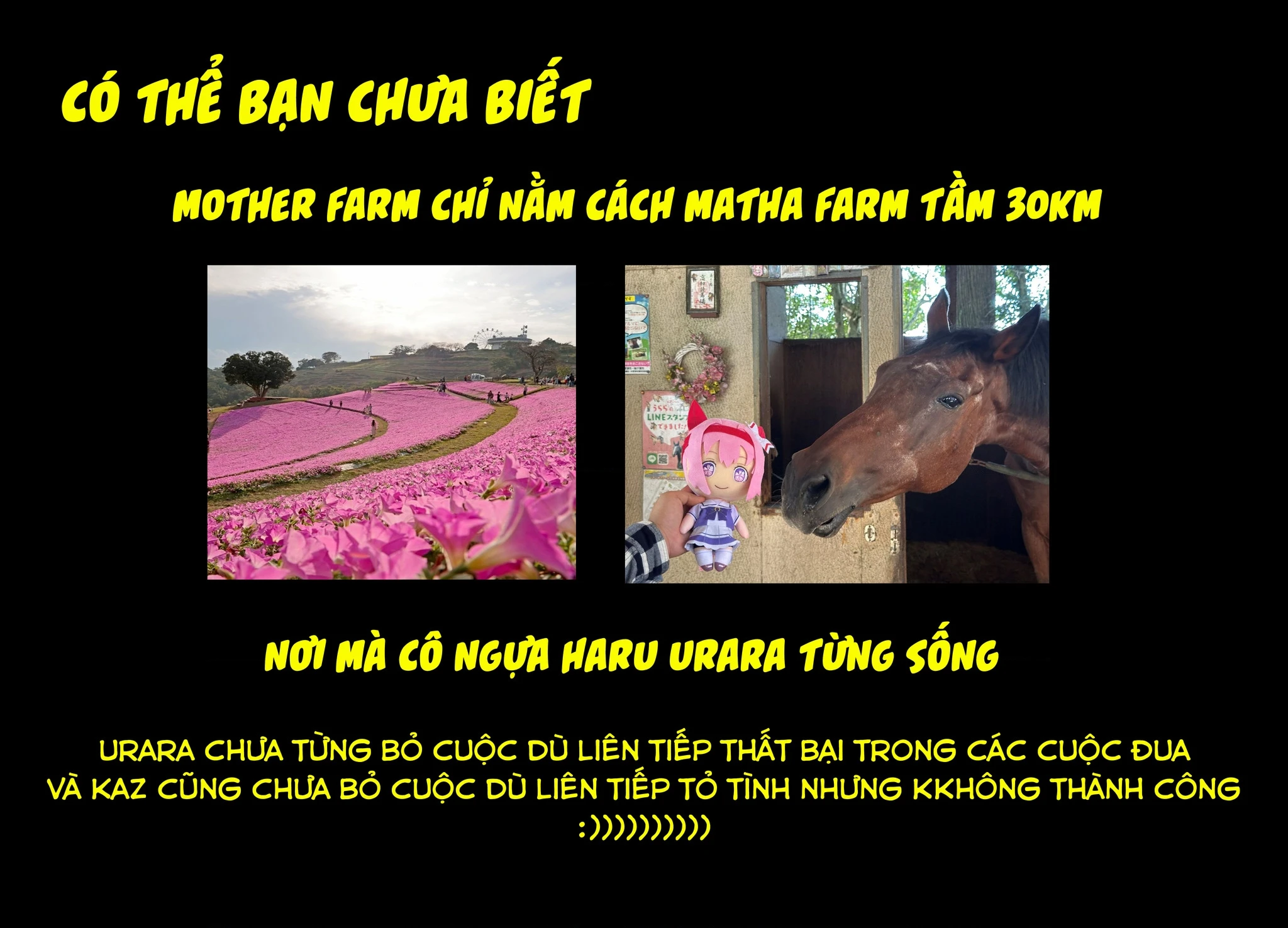 Dịch Vụ Thuê Bạn Gái Chapter 422 - 26