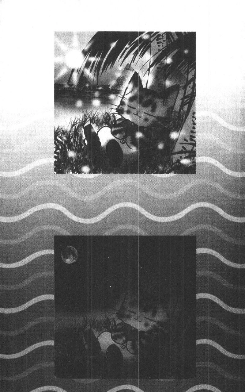 Toraji Phiêu Lưu Ký Chapter 4 - 187