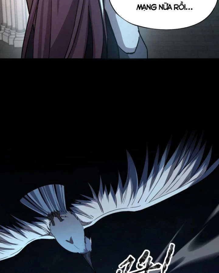 Toàn Dân Ngự Linh: Linh Sủng Của Ta Là Nữ Cường Thi Chapter 27 - 39