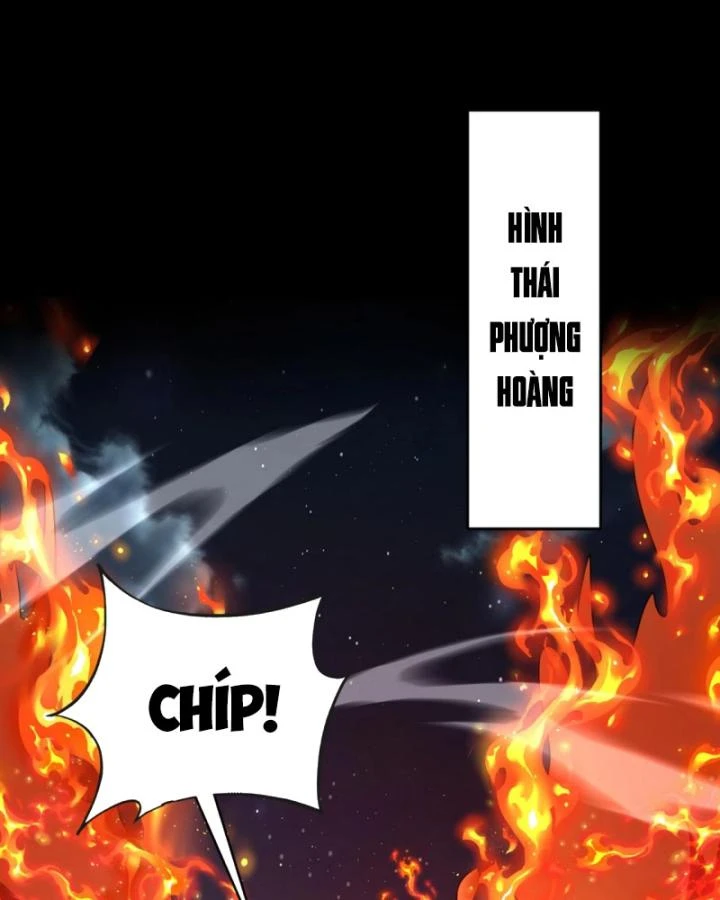 Toàn Dân Ngự Linh: Linh Sủng Của Ta Là Nữ Cường Thi Chapter 27 - 68