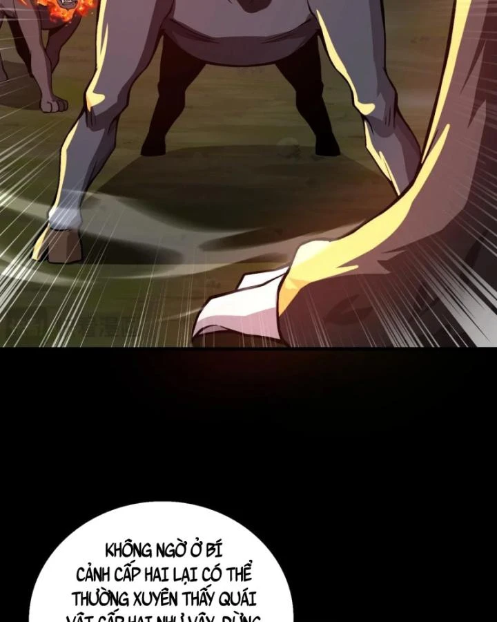 Toàn Dân Ngự Linh: Linh Sủng Của Ta Là Nữ Cường Thi Chapter 28 - 74