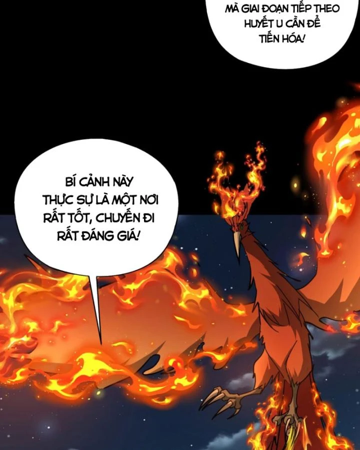 Toàn Dân Ngự Linh: Linh Sủng Của Ta Là Nữ Cường Thi Chapter 29 - 108